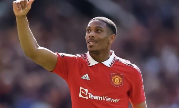 云南新星的 云南新星的